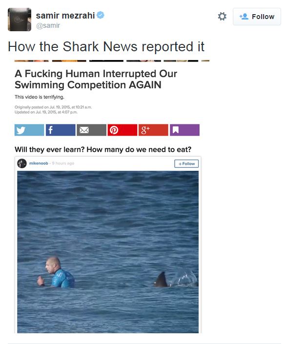 @samir how the shark news reported it: a fucking human interrupted our swimming competition AGAIN